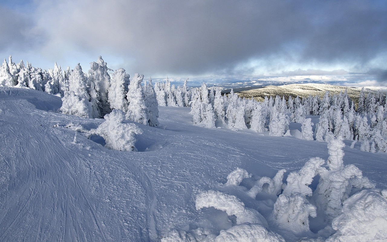 Safety in Snowboarding: Essentials for Winter Sports
